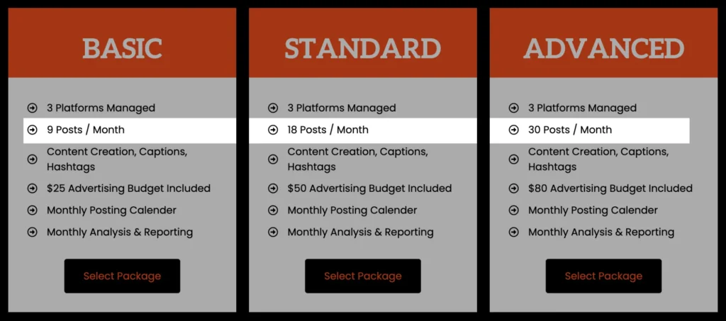 Social Media Management Packages